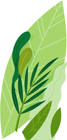 srisuktamorganics.com