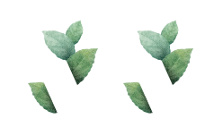 srisuktamorganics.com