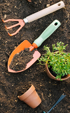 srisuktamorganics.com