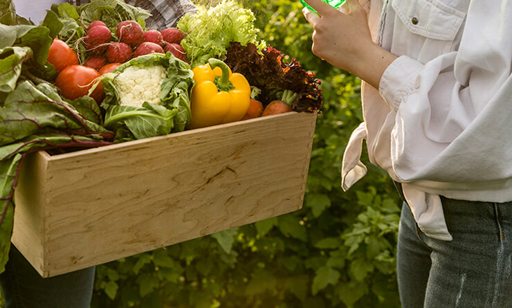 srisuktamorganics.com