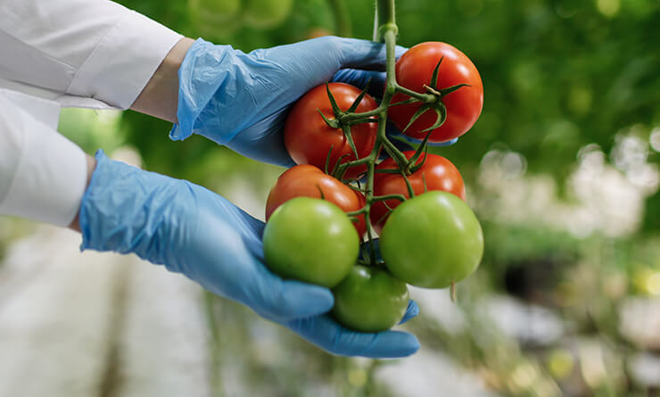 srisuktamorganics.com